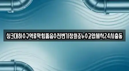 싱크대하수구역류막힘뚫음수전변기정화조누수고압세척24시출동