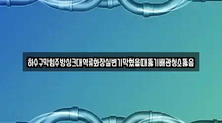 하수구막힘주방싱크대역류화장실변기막혔을때뚫기배관청소뚫음