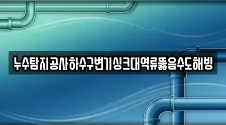 누수탐지공사하수구변기싱크대역류뚫음수도해빙