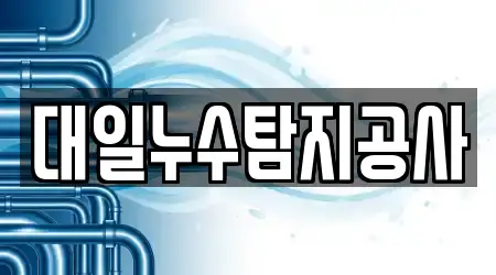 대일누수탐지공사