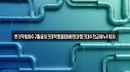 변기막힘하수구뚫음싱크대막혔을때세면대씽크대수전교체누수탐지