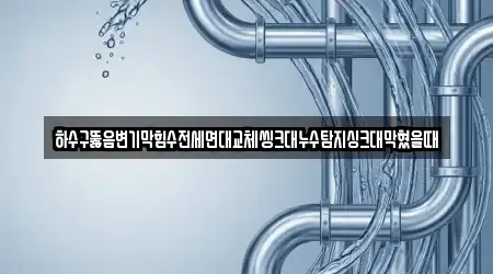 하수구뚫음변기막힘수전세면대교체씽크대누수탐지싱크대막혔을때