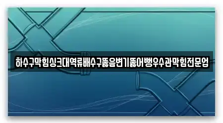 하수구막힘싱크대역류배수구뚫음변기뚫어뻥우수관막힘전문업