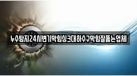 누수탐지24시변기막힘싱크대하수구막힘잘뚫는업체