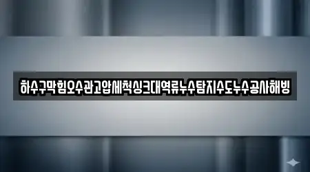 하수구막힘오수관고압세척싱크대역류누수탐지수도누수공사해빙