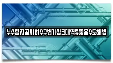 누수탐지공사하수구변기싱크대역류뚫음수도해빙