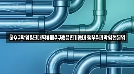 하수구막힘싱크대역류배수구뚫음변기뚫어뻥우수관막힘전문업