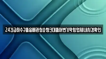 24긴급하수구뚫음배관청소씽크대뚫어변기막힘업체내시경확인