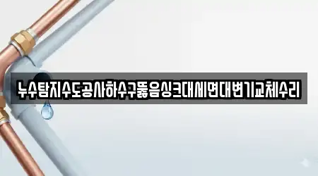 누수탐지수도공사하수구뚫음싱크대세면대변기교체수리