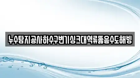 누수탐지공사하수구변기싱크대역류뚫음수도해빙