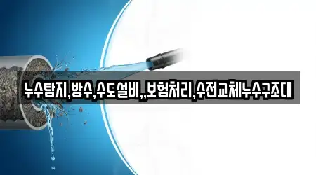 누수탐지,방수,수도설비,,보험처리,수전교체누수구조대