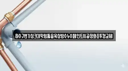 하수구변기싱크대막힘뚫음옥상방수누수페인트시공정화조뚜껑교체
