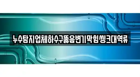 누수탐지업체하수구뚫음변기막힘씽크대역류