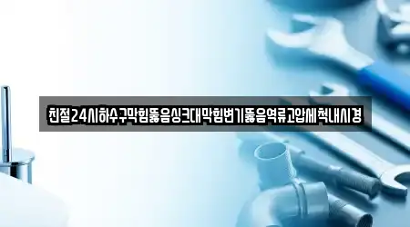 친절24시하수구막힘뚫음싱크대막힘변기뚫음역류고압세척내시경