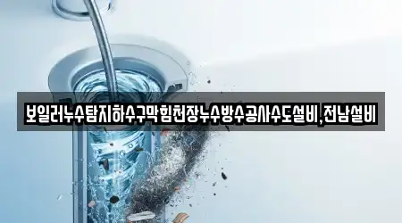 보일러누수탐지하수구막힘천장누수방수공사수도설비,전남설비