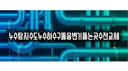 누수탐지수도누수하수구뚫음변기뚫는곳수전교체