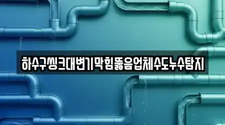 하수구씽크대변기막힘뚫음업체수도누수탐지