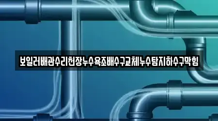 보일러배관수리천장누수욕조배수구교체누수탐지하수구막힘