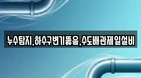 누수탐지,하수구변기뚫음,수도배관제일설비