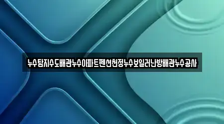 누수탐지수도배관누수아파트펜션천정누수보일러난방배관누수공사