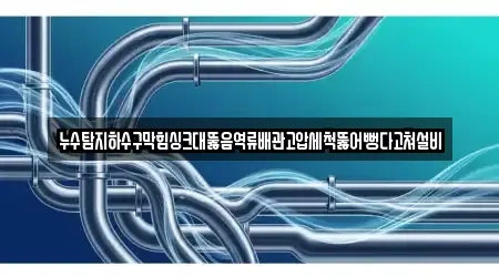 누수탐지하수구막힘싱크대뚫음역류배관고압세척뚫어뻥다고쳐설비