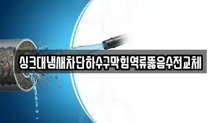 득량동 배수구 뚫음 1곳, 주소 보기