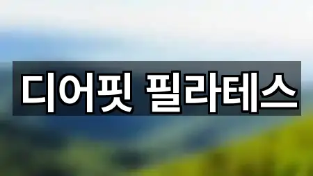 디어핏 필라테스