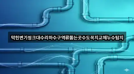 막힌변기씽크대수리하수구역류뚫는곳수도꼭지교체누수탐지