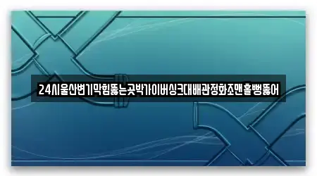 24시울산변기막힘뚫는곳박가이버싱크대배관정화조맨홀뻥뚫어