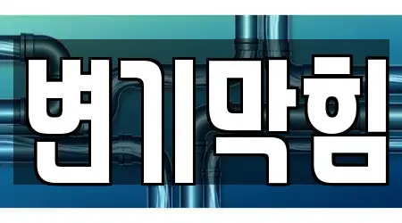 15개의 변기막힘 업체 서울 강남구 대치동, 업체 안내
