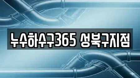 누수하수구365 성북구지점