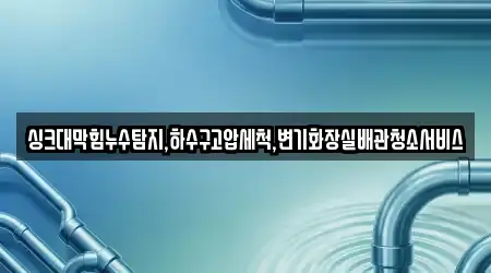 싱크대막힘누수탐지,하수구고압세척,변기화장실배관청소서비스