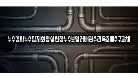 누수검사누수탐지화장실천장누수보일러배관수리욕조배수구교체