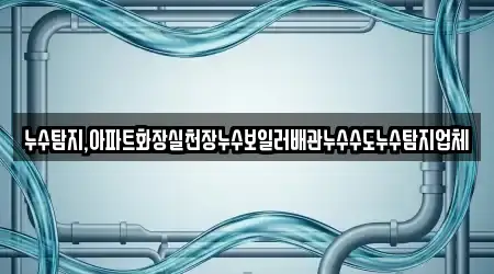 누수탐지,아파트화장실천장누수보일러배관누수수도누수탐지업체