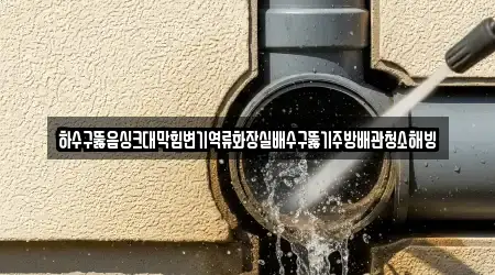 하수구뚫음싱크대막힘변기역류화장실배수구뚫기주방배관청소해빙