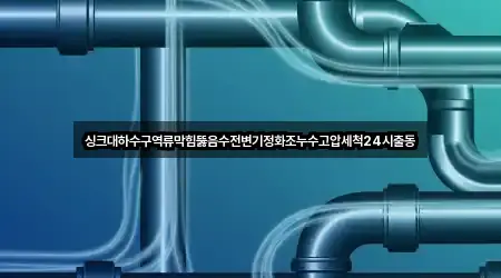 싱크대하수구역류막힘뚫음수전변기정화조누수고압세척24시출동