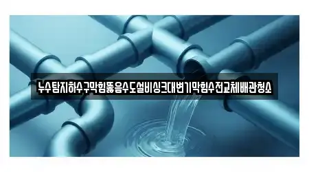 누수탐지하수구막힘뚫음수도설비싱크대변기막힘수전교체배관청소