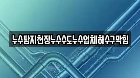 누수탐지천장누수수도누수업체하수구막힘