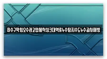하수구막힘오수관고압세척싱크대역류누수탐지수도누수공사해빙