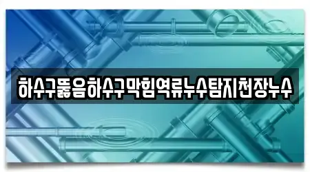 하수구뚫음하수구막힘역류누수탐지천장누수