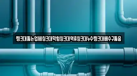 씽크대뚫는업체싱크대막힘싱크대역류싱크대누수씽크대배수구뚫음
