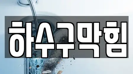 하수구막힘 업체 보러가기 안산시 단원구 와동 17건