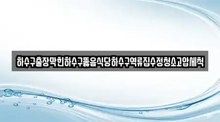 하수구출장막힌하수구뚫음식당하수구역류집수정청소고압세척