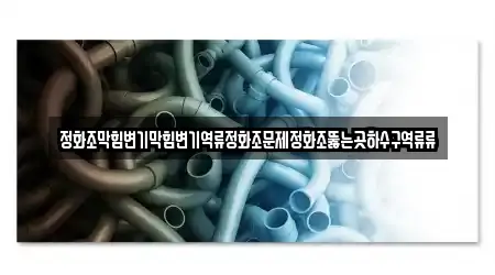 정화조막힘변기막힘변기역류정화조문제정화조뚫는곳하수구역류류