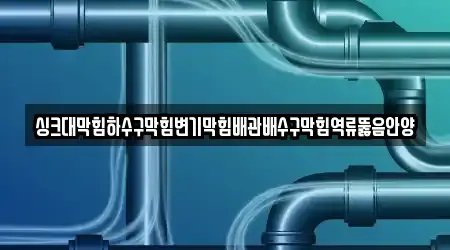 싱크대막힘하수구막힘변기막힘배관배수구막힘역류뚫음안양