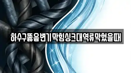 하수구뚫음변기막힘싱크대역류막혔을때