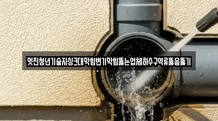 멋진청년기술자싱크대막힘변기막힘뚫는업체하수구역류뚫음뚫기