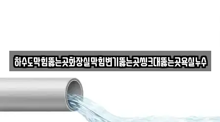 욕실막힘 임자면 1곳 한 번에
