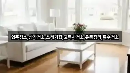 입주청소,상가청소,쓰레기집,고독사청소,유품정리,특수청소