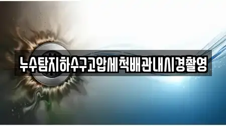 누수탐지하수구고압세척배관내시경촬영